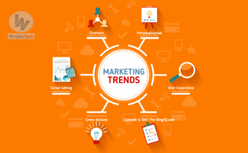 Creator Marketing Trends